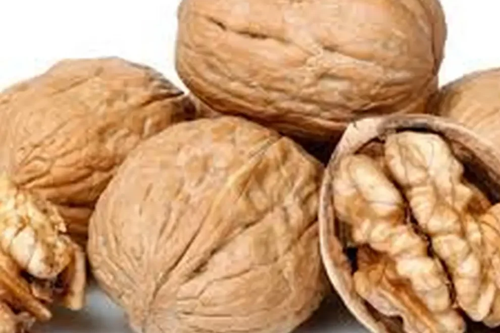 nueces recuperación en el deporte