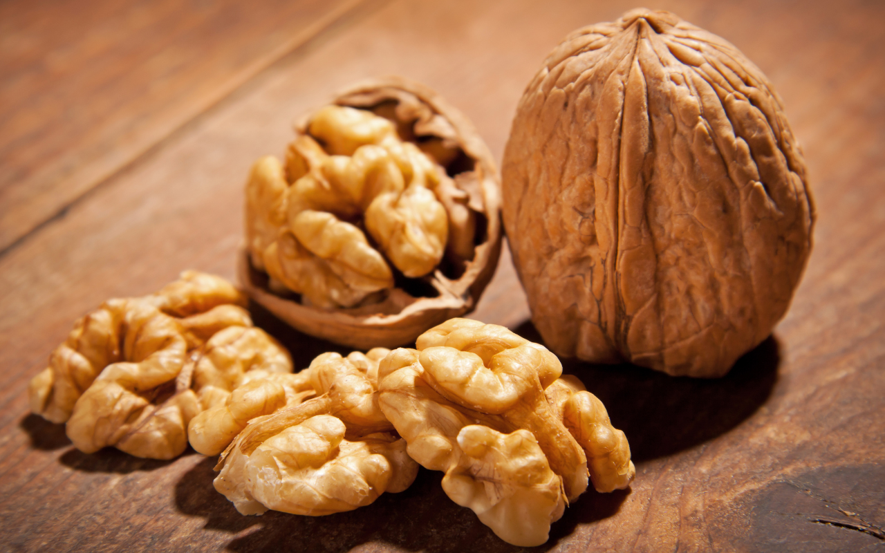 Diseño sin título (77)